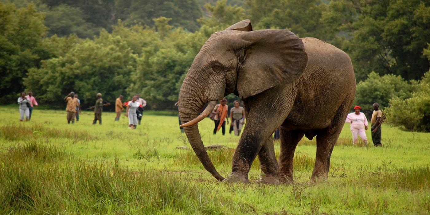 KAKUM NATIONAL PARK 4