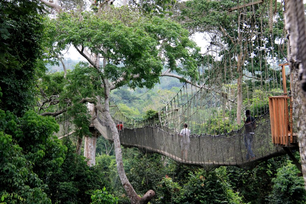 Kakum National Park bridge