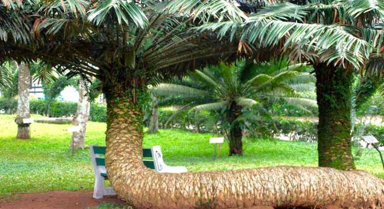 tour the eastern region of ghana 02